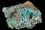 Rosasite, Aurichalcite and Selenite Crystal Association - Utah #109821-1